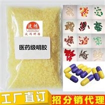 凍力120,160,180, 200膠囊明膠食品級明膠